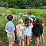 pollinator-garden