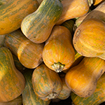 Butternut-150px