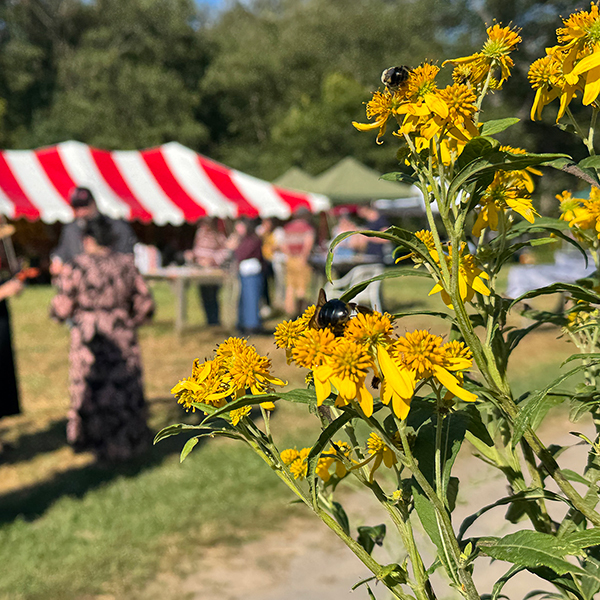 Flowers-Everywhere-tent-and-flowers-600px