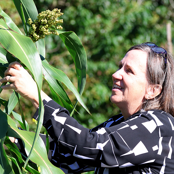 flowers-everywhere-person-with-sorghum-600px